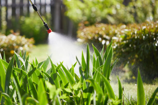 24/7 Emergency Ant Control experts in Ness City, KS