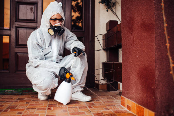 Reliable Ant Control contractor in Ness City, KS by Nex Pest Control